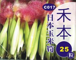 日本玉米筍