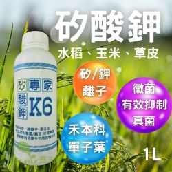 K6 矽酸鉀