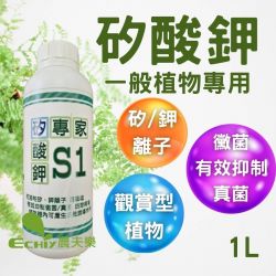 S1 矽酸鉀