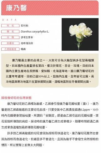 切花保鮮術
