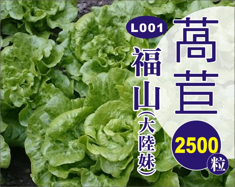 福山萵苣 福山萵苣